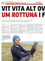 Síða 18