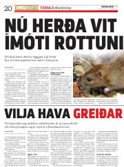 Síða 20