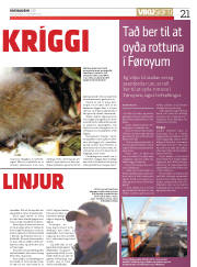 Síða 21