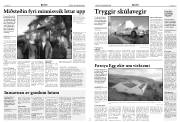 Síða 5