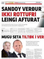 Síða 22