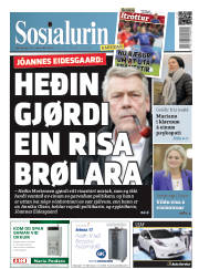 Síða 1