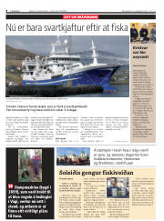Síða 8