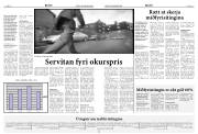 Síða 8