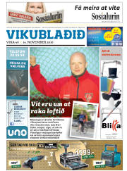 Síða 25