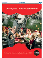 Síða 27