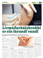 Síða 41