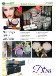 Síða 42