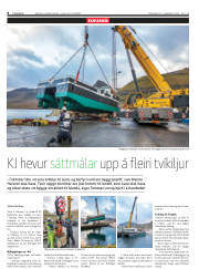 Síða 8