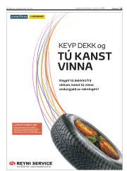 Síða 21