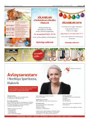 Síða 25