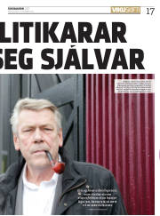 Síða 17