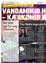 Síða 18