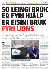 Síða 20