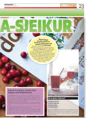 Síða 23