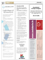 Síða 30