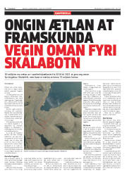 Síða 8