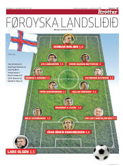 Síða 17