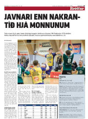 Síða 19