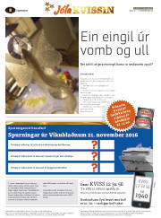 Síða 31