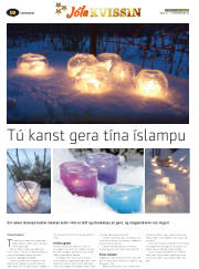 Síða 33