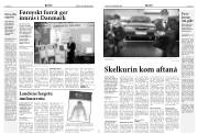 Síða 5