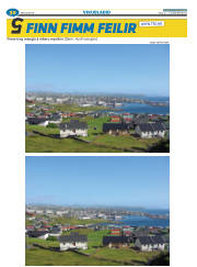 Síða 53