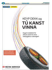Síða 55