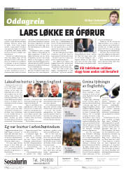 Síða 8