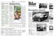 Síða 8
