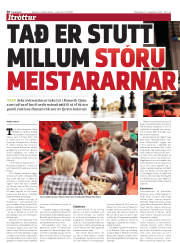 Síða 30