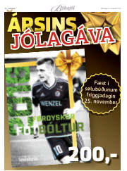 Síða 46