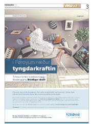Síða 3
