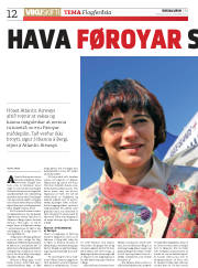 Síða 12