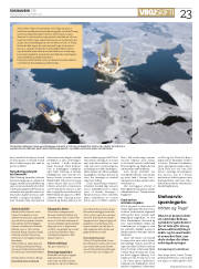 Síða 23