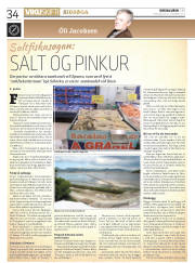 Síða 34
