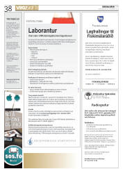 Síða 38