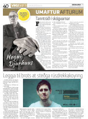 Síða 40