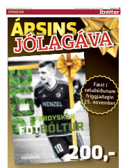 Síða 15