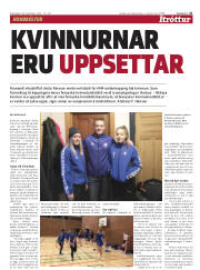 Síða 21