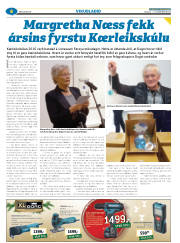 Síða 30
