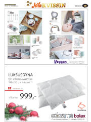 Síða 43