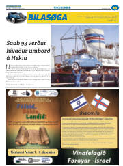 Síða 53
