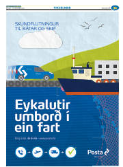 Síða 55