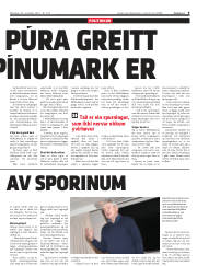 Síða 9