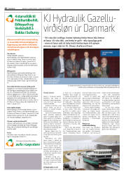 Síða 16