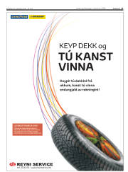 Síða 17