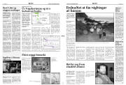Síða 3