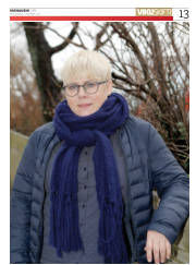Síða 13