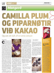 Síða 18